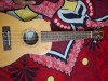 Custom Ukulele